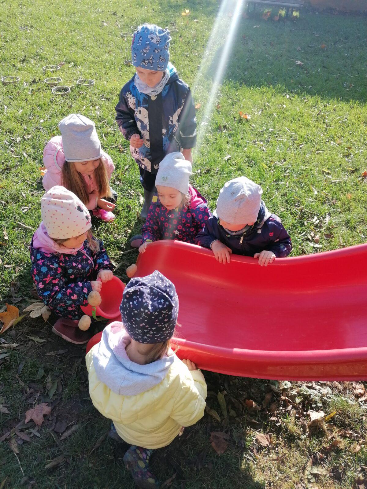 "Bramboriáda" :-) - 49