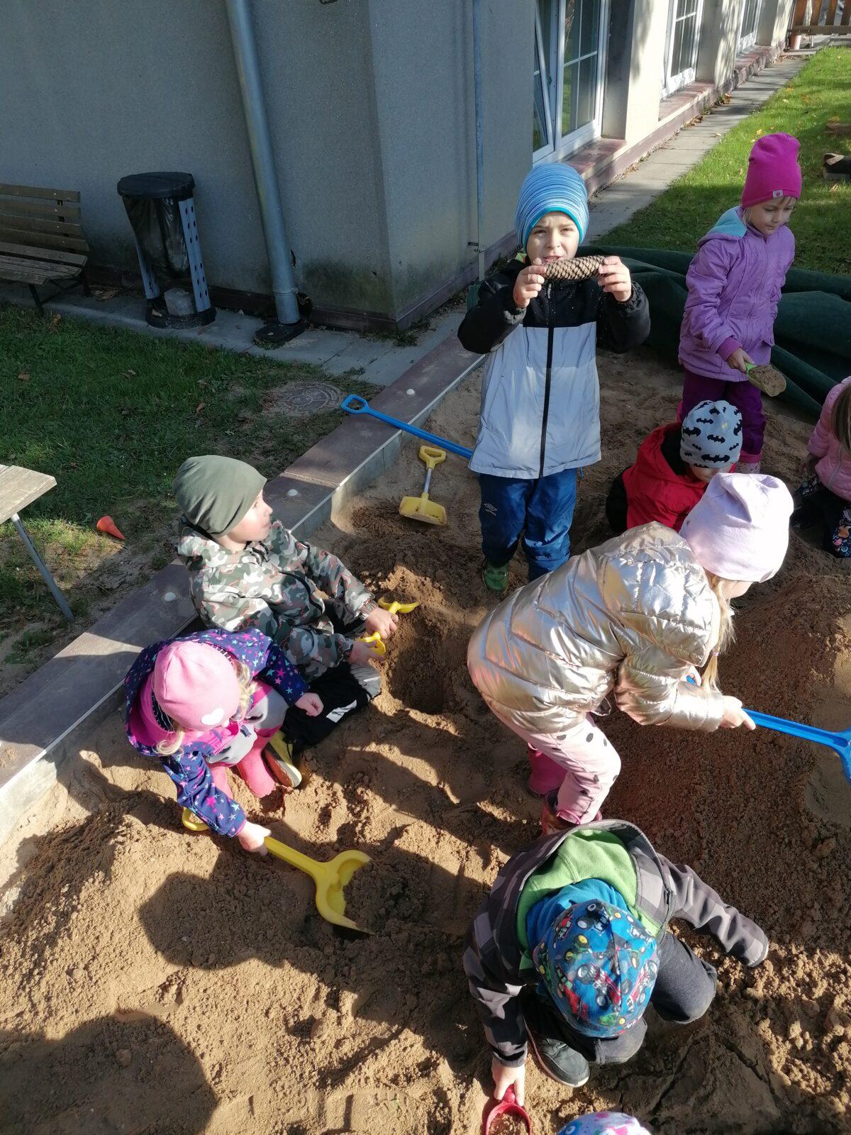 "Bramboriáda" :-) - 79