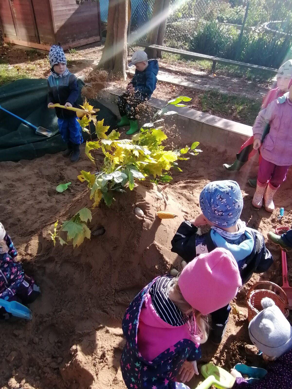 "Bramboriáda" :-) - 91