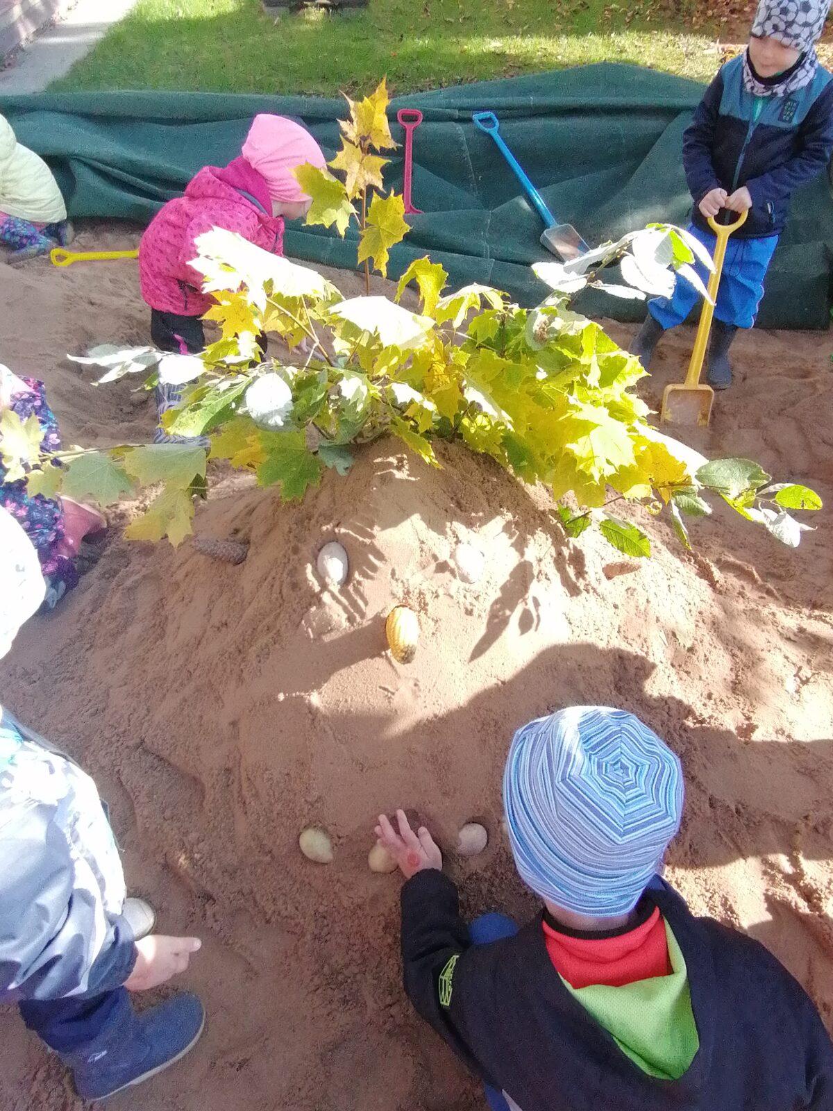 "Bramboriáda" :-) - 92