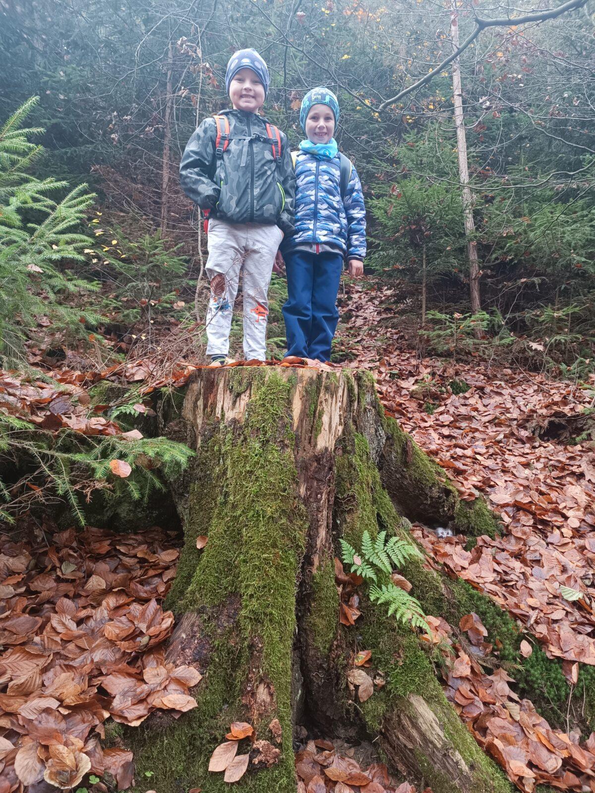 TLAPKY - říjen - 31