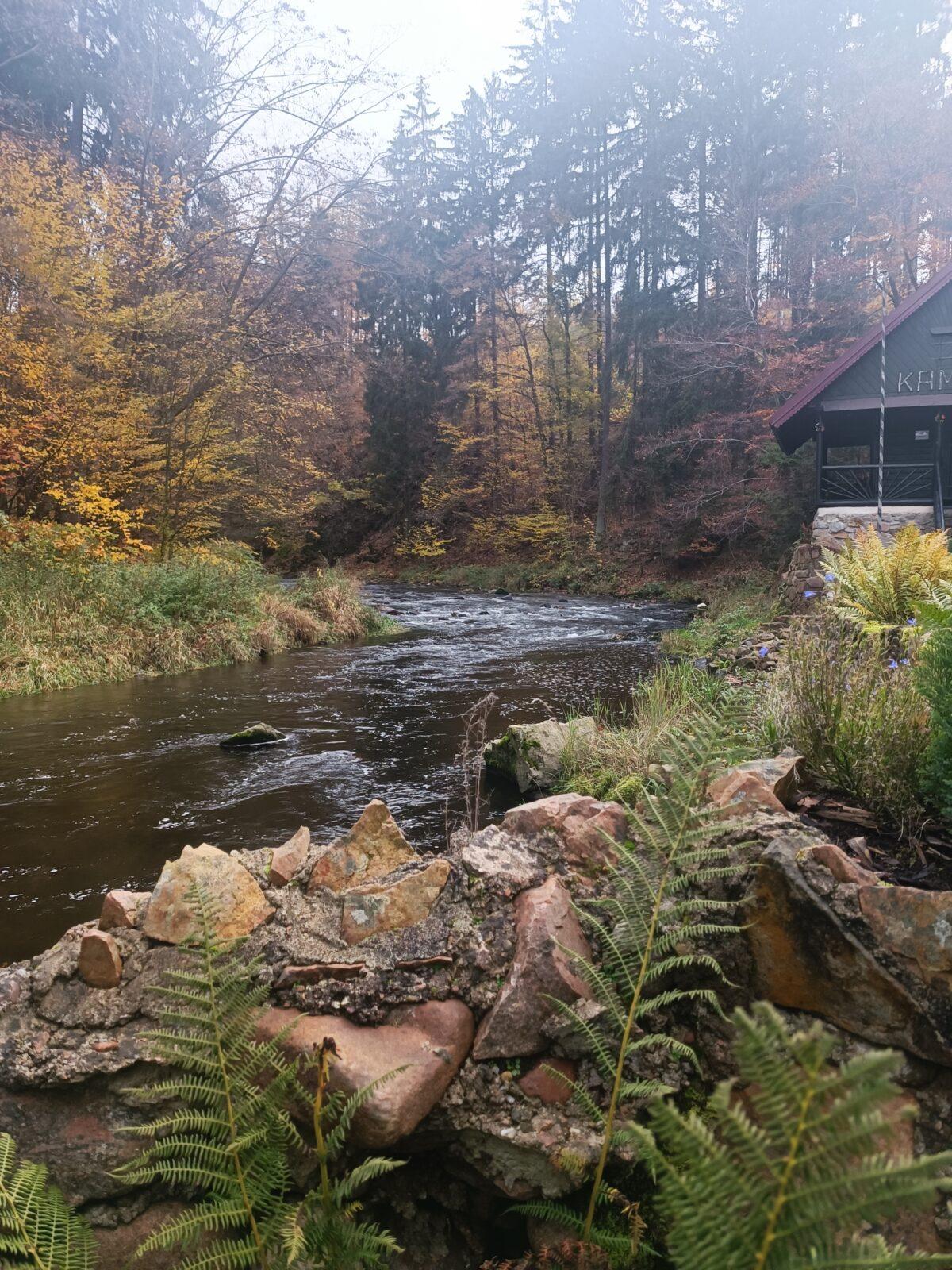 TLAPKY - říjen - 36