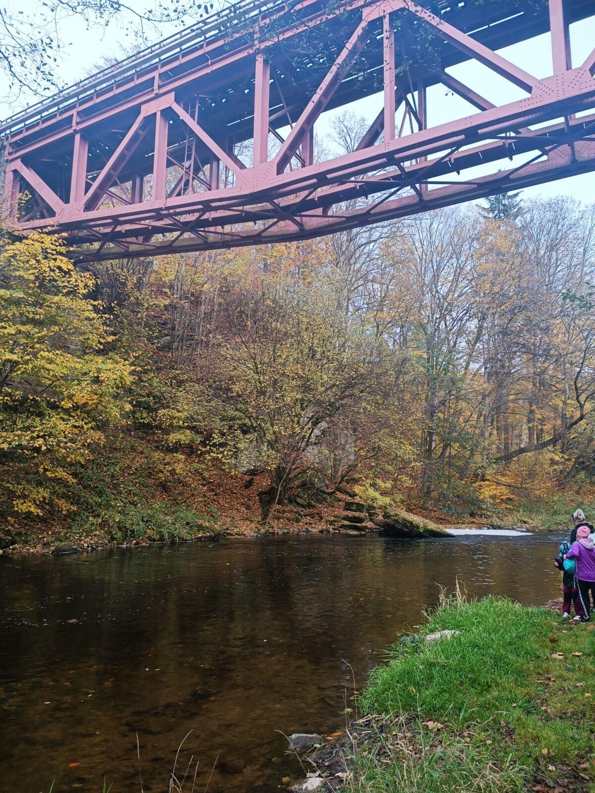 TLAPKY - říjen - 43