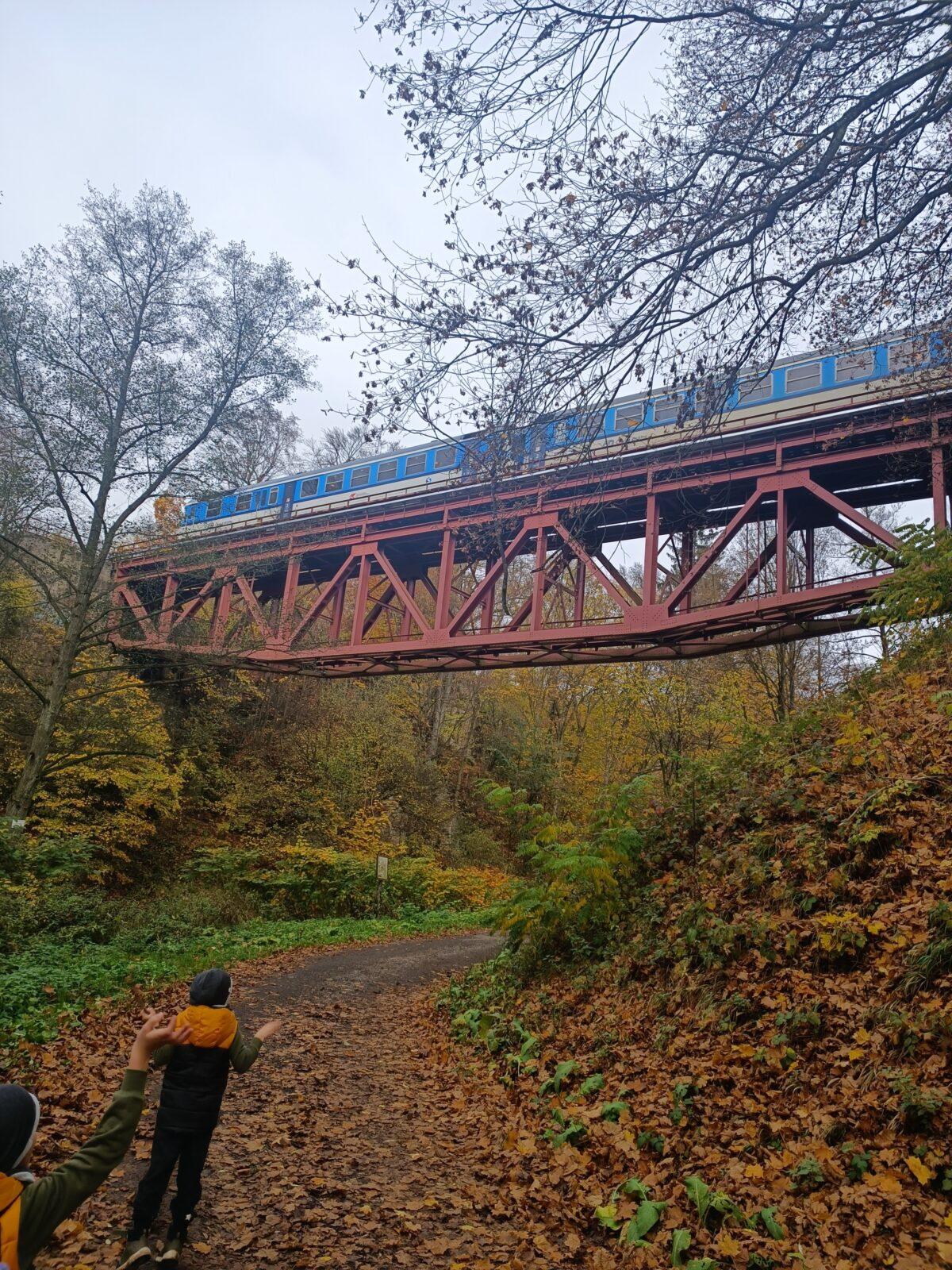 TLAPKY - říjen - 49