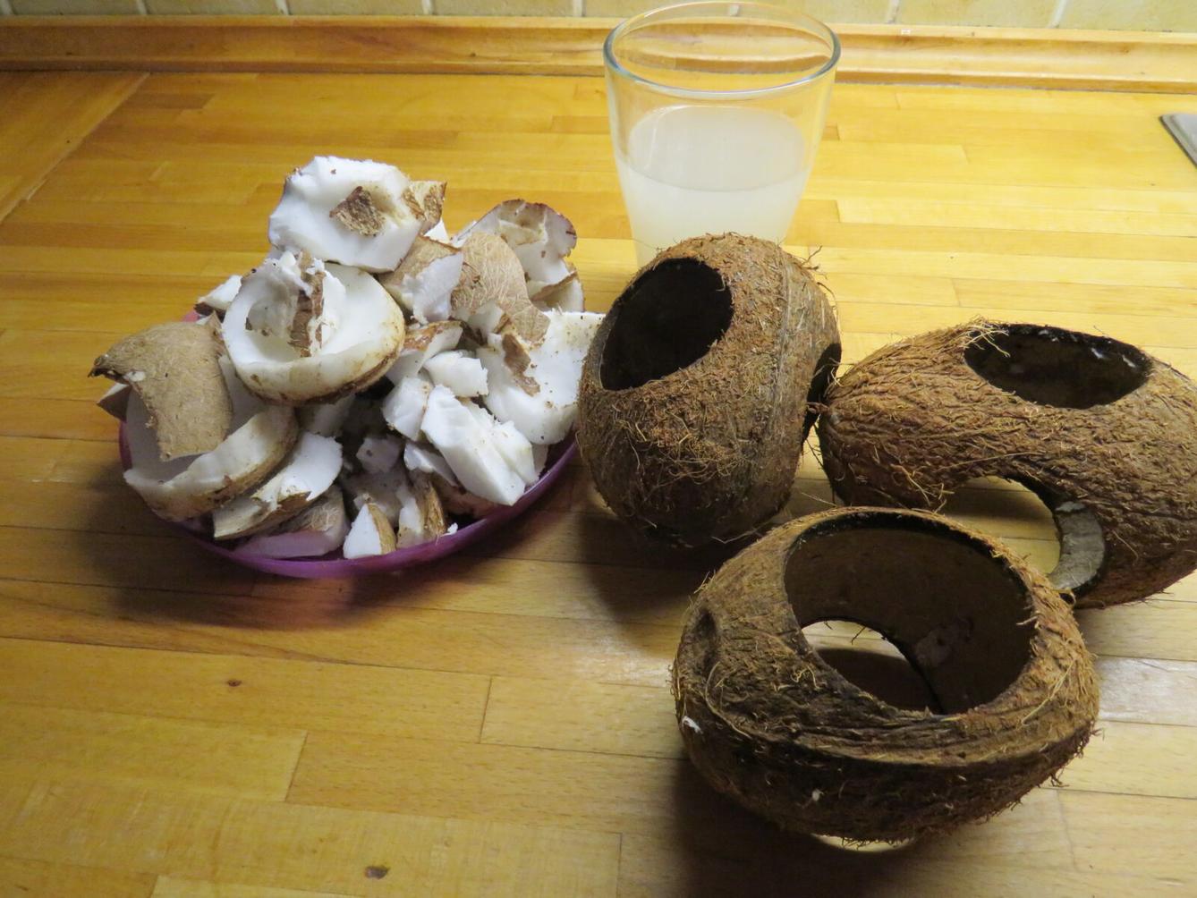 Krmítka pro ptáčky :-) - 55