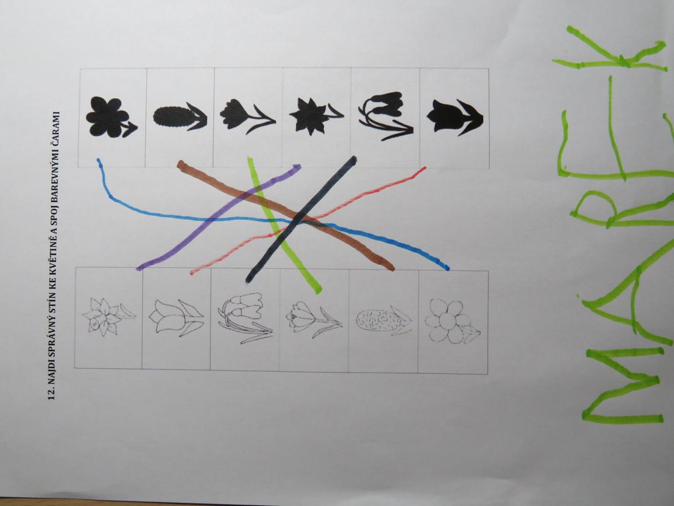 Distanční výuka v MŠ Kamarád (Jaro přišlo do vsi - předškoláci) :-) - 53