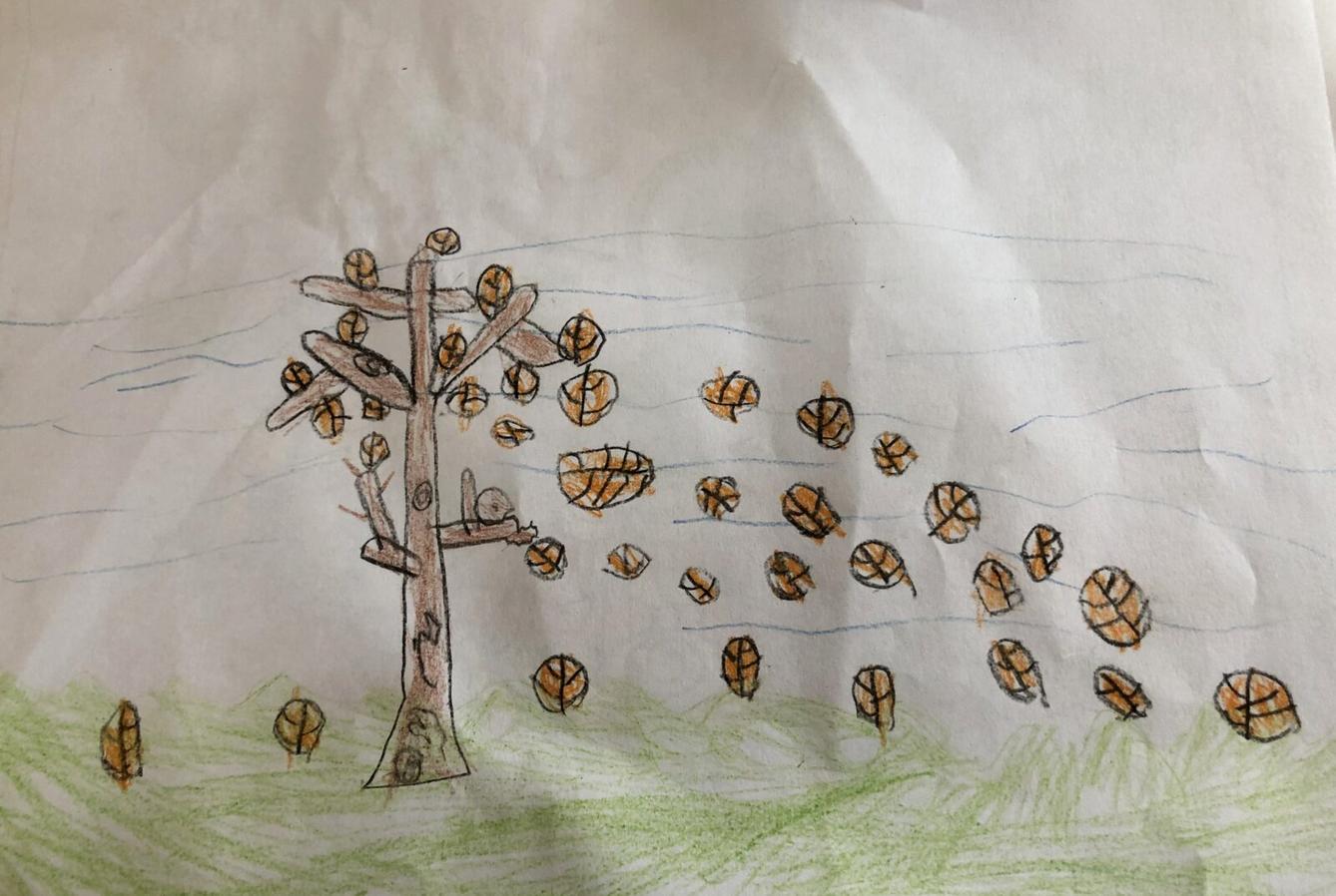 24. 10. Distanční výuka v 1. třídě - 49