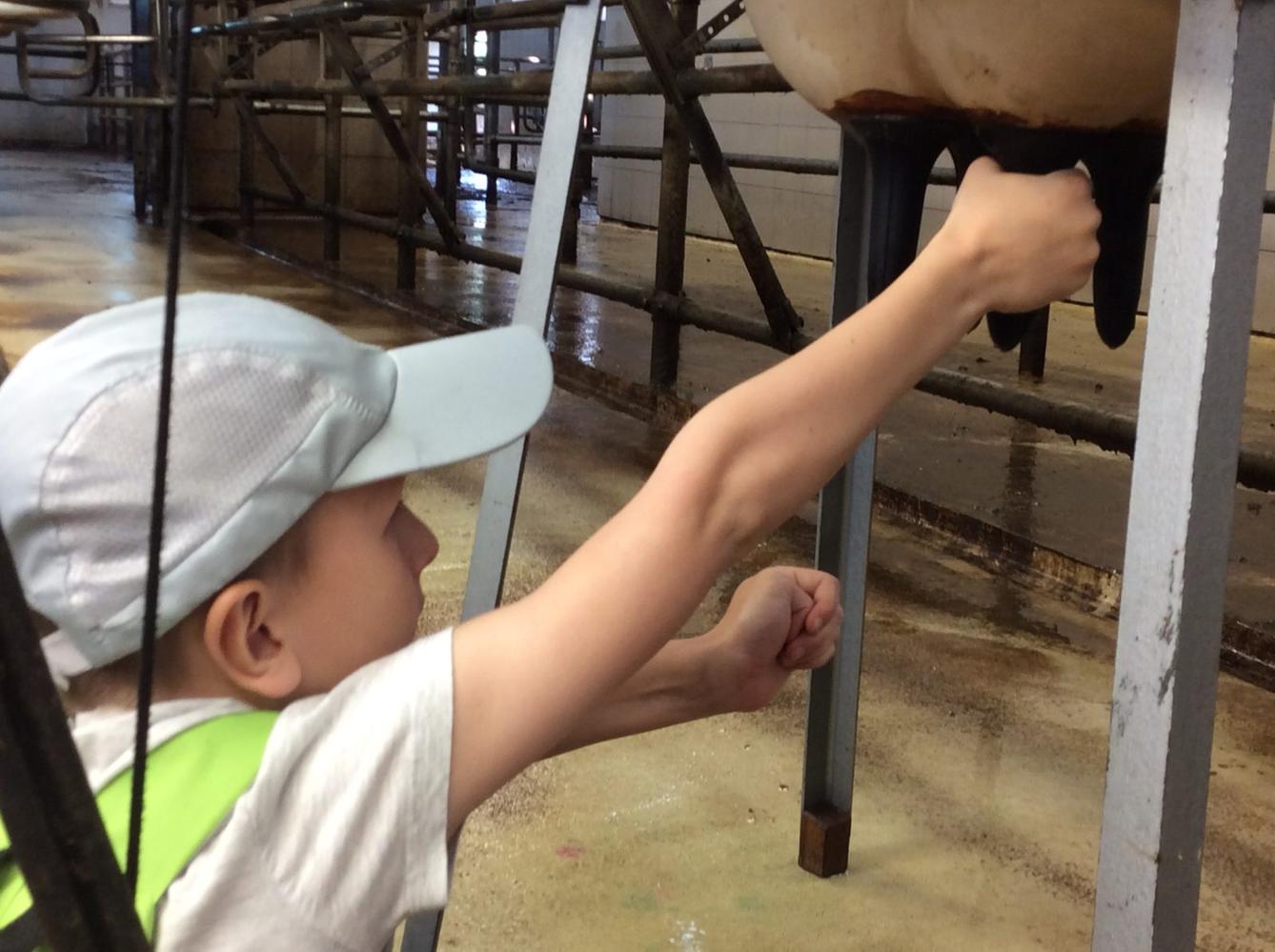 Den Země na 1. stupni ZŠ - 10