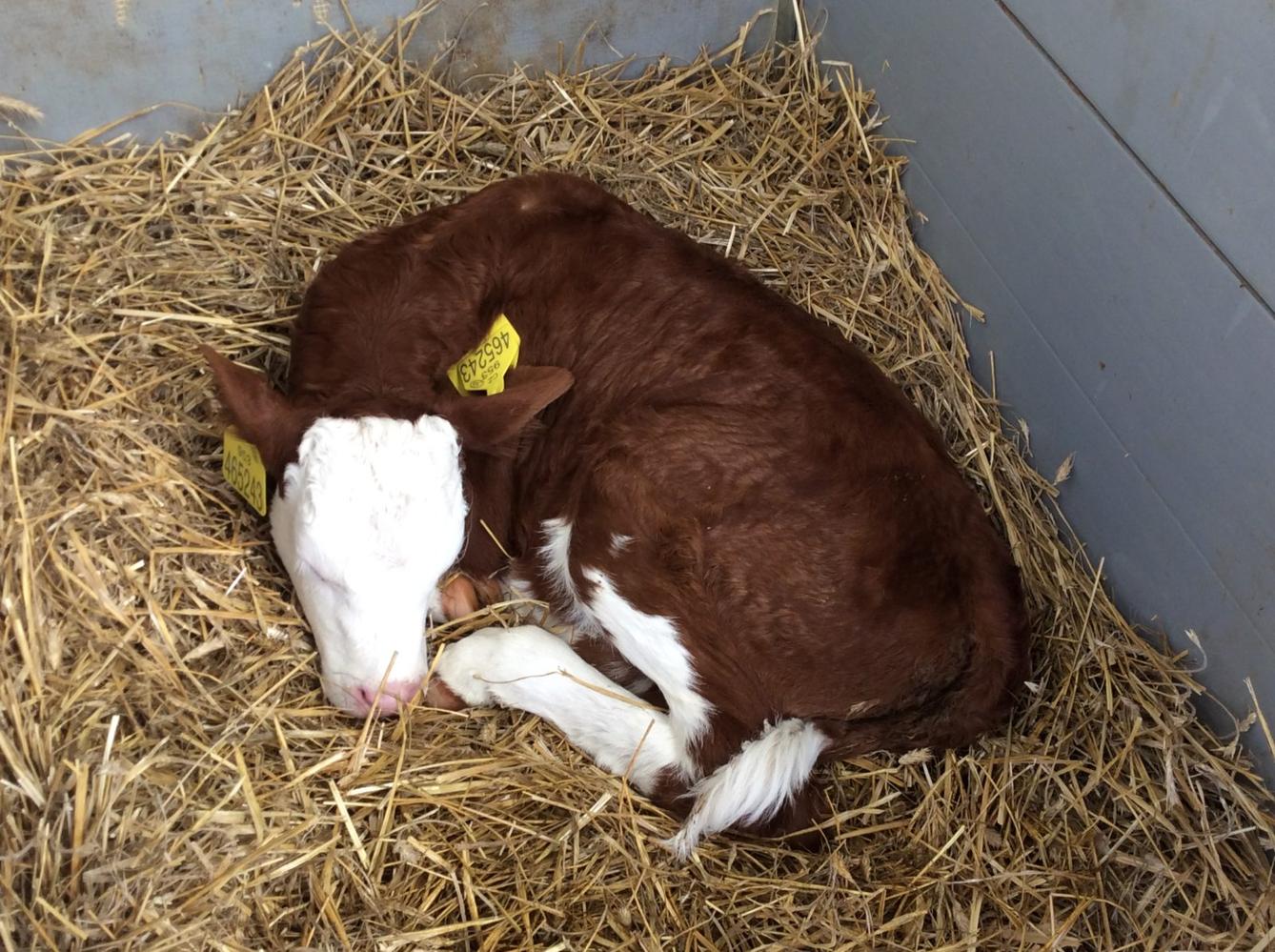 Den Země na 1. stupni ZŠ - 11