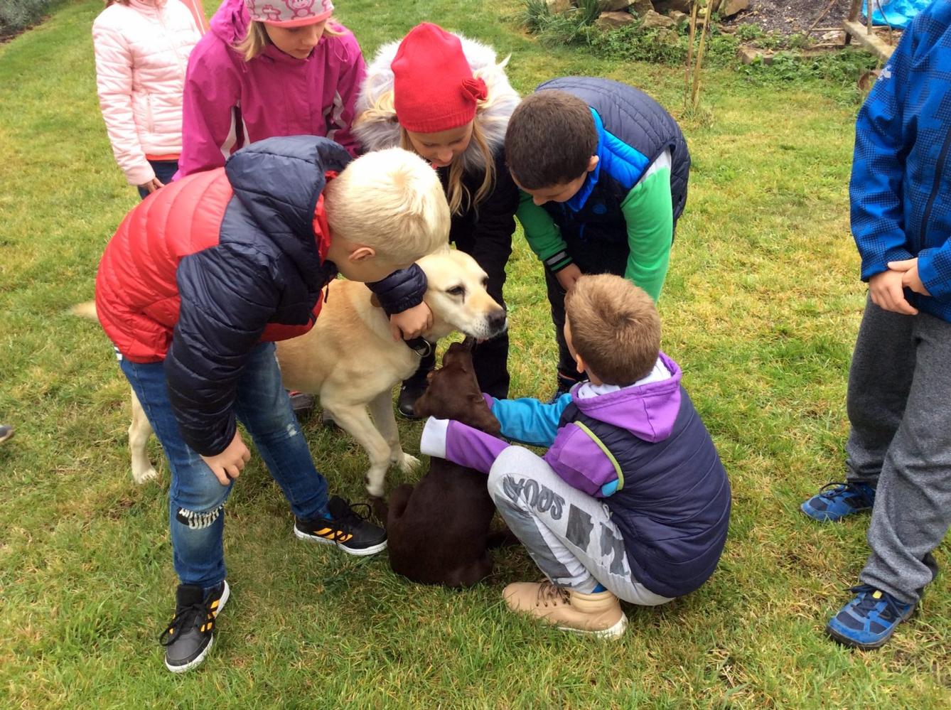 9. 10. Návštěva u Schauerů, 3. třída - 4