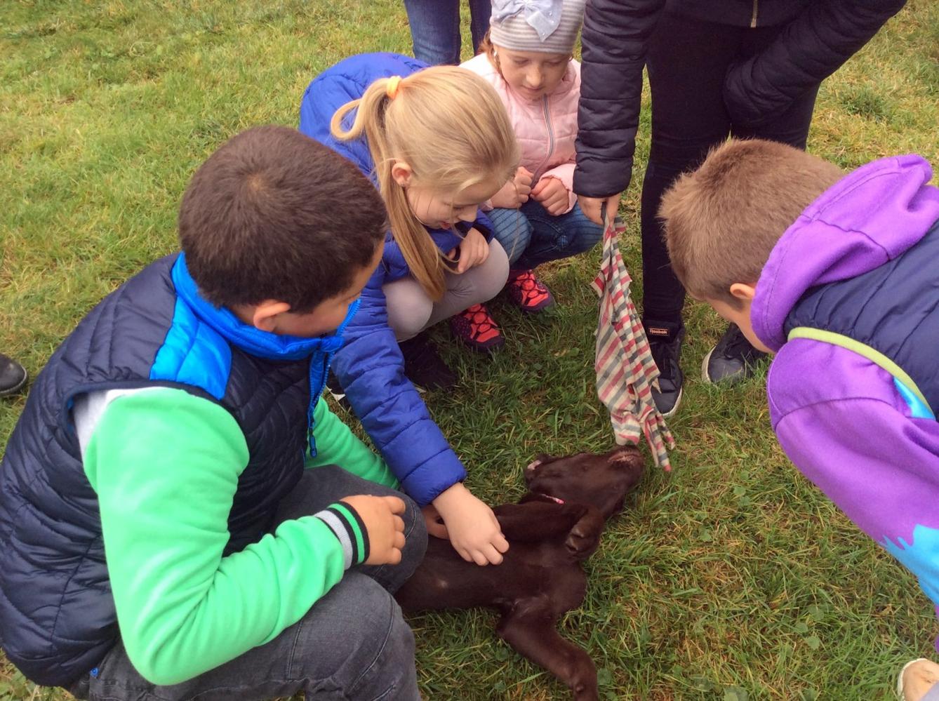 9. 10. Návštěva u Schauerů, 3. třída - 5