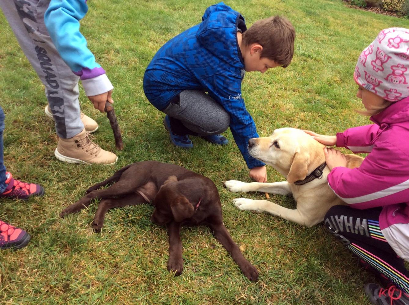 9. 10. Návštěva u Schauerů, 3. třída - 8