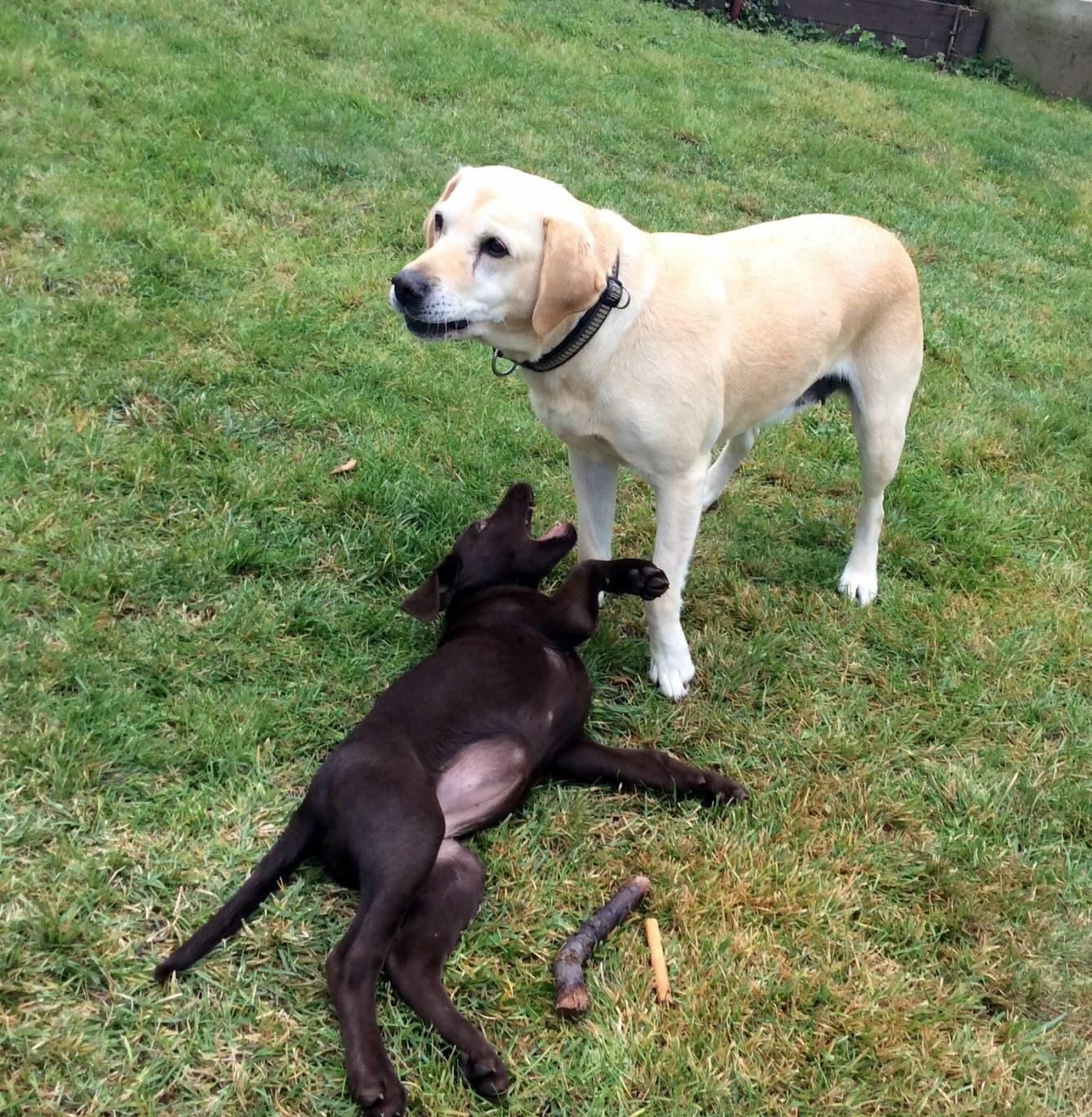 9. 10. Návštěva u Schauerů, 3. třída - 9