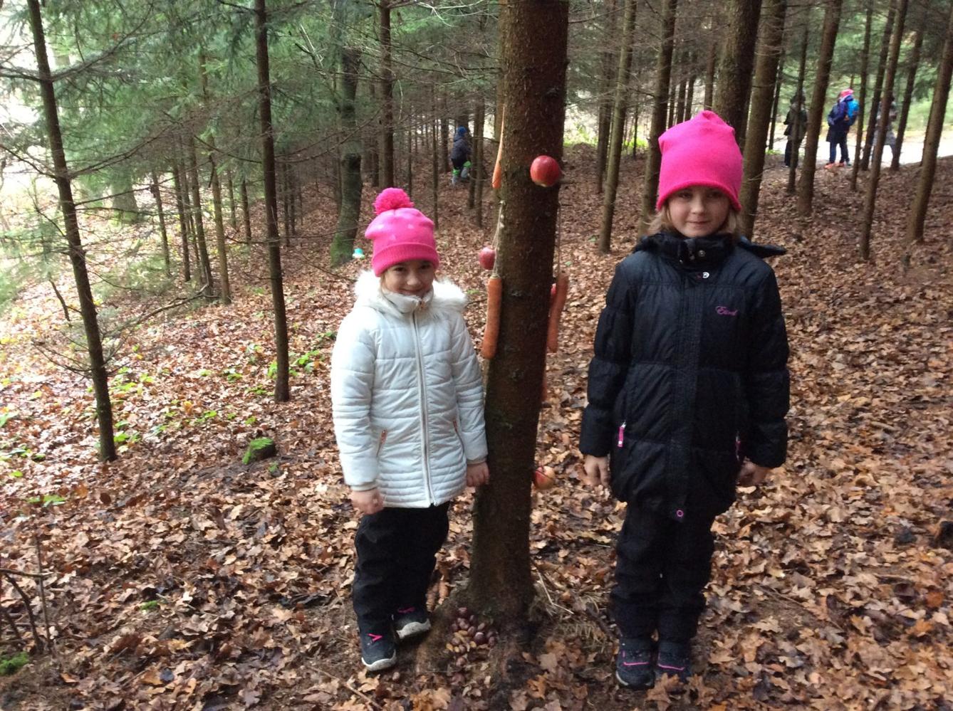 Vánoční les na 1. stupni - 2