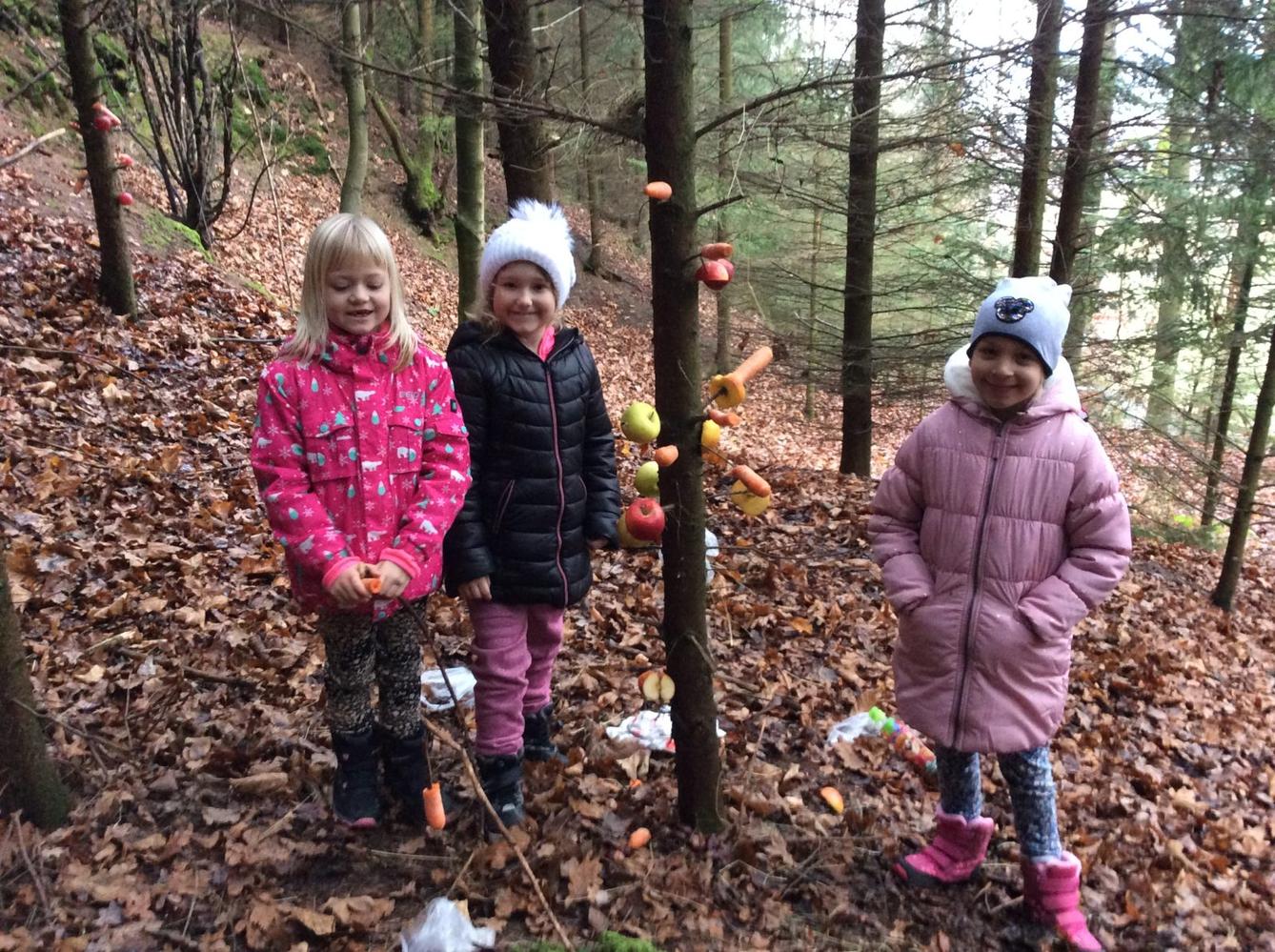 Vánoční les na 1. stupni - 3