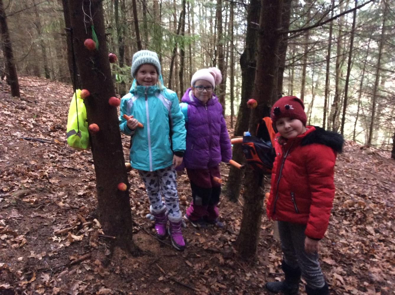 Vánoční les na 1. stupni - 4