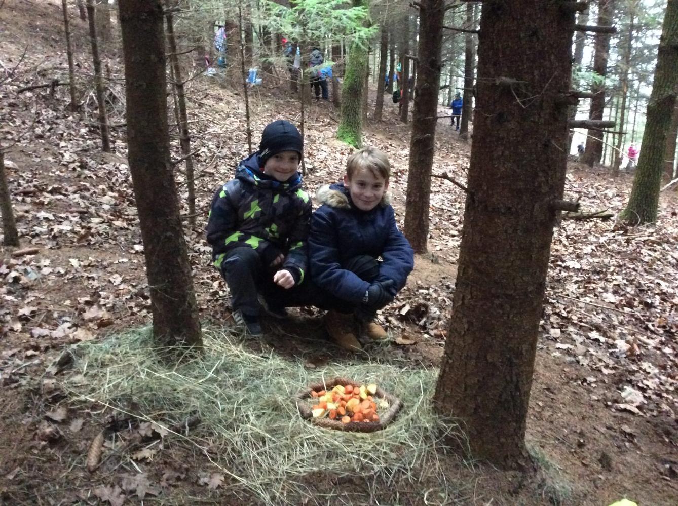 Vánoční les na 1. stupni - 6
