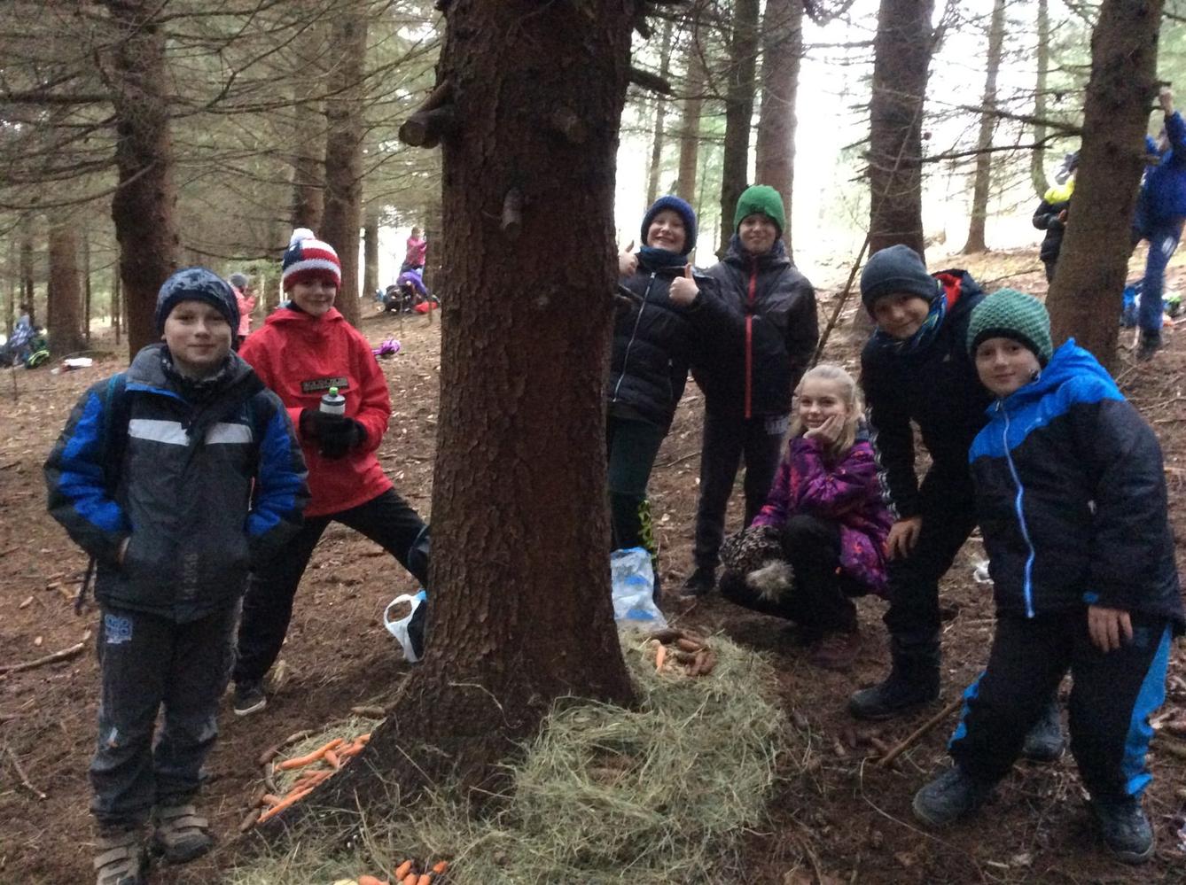 Vánoční les na 1. stupni - 8