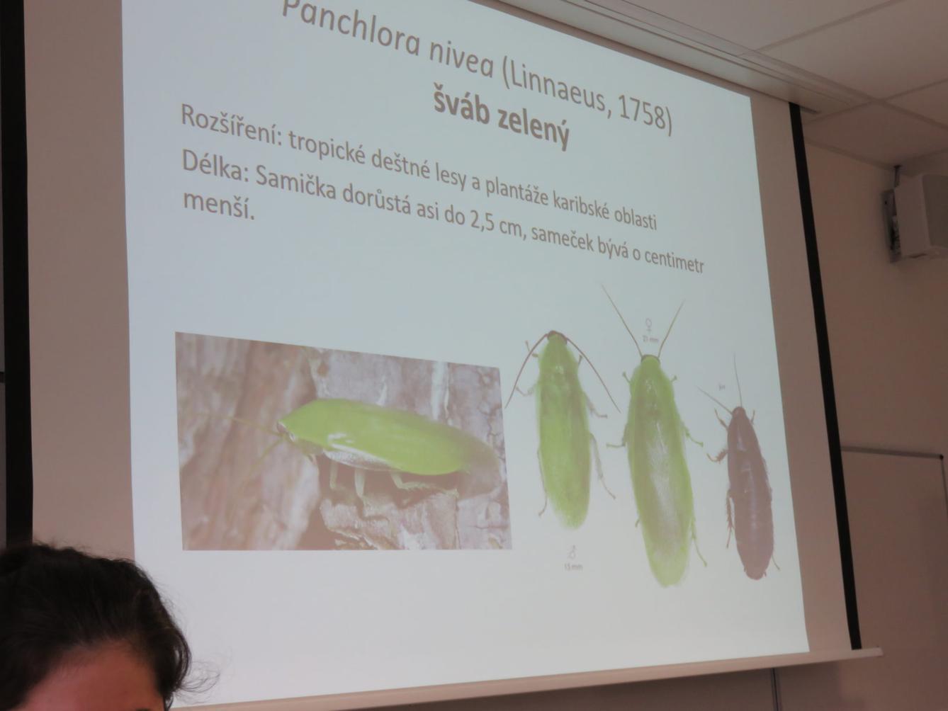 Klub zábavné logiky a deskových her na Univerzitě Hradec Králové - 37