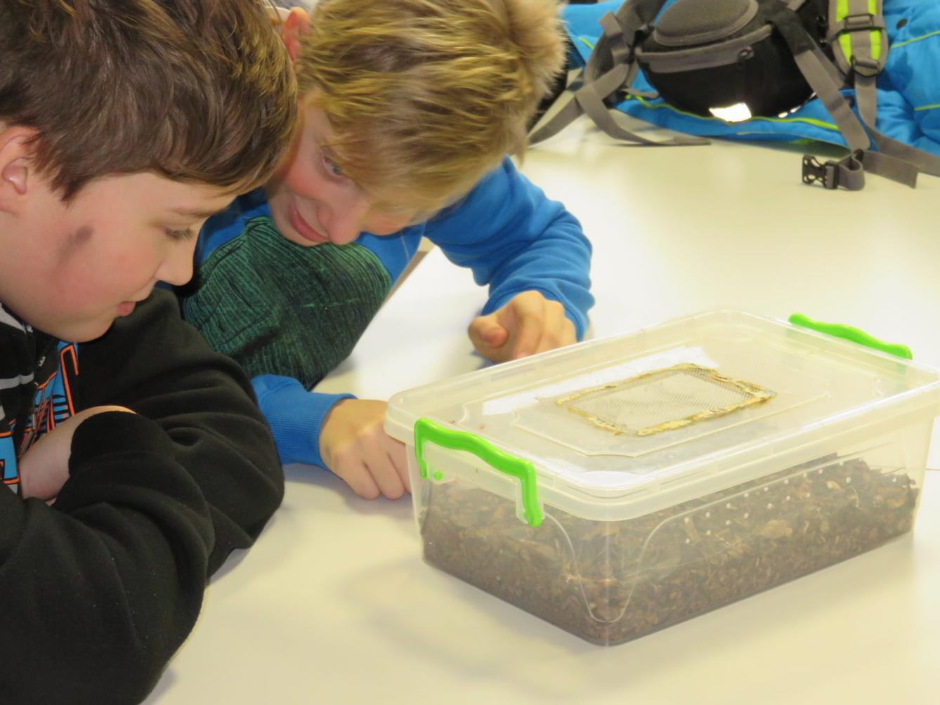 Klub zábavné logiky a deskových her na Univerzitě Hradec Králové - 39