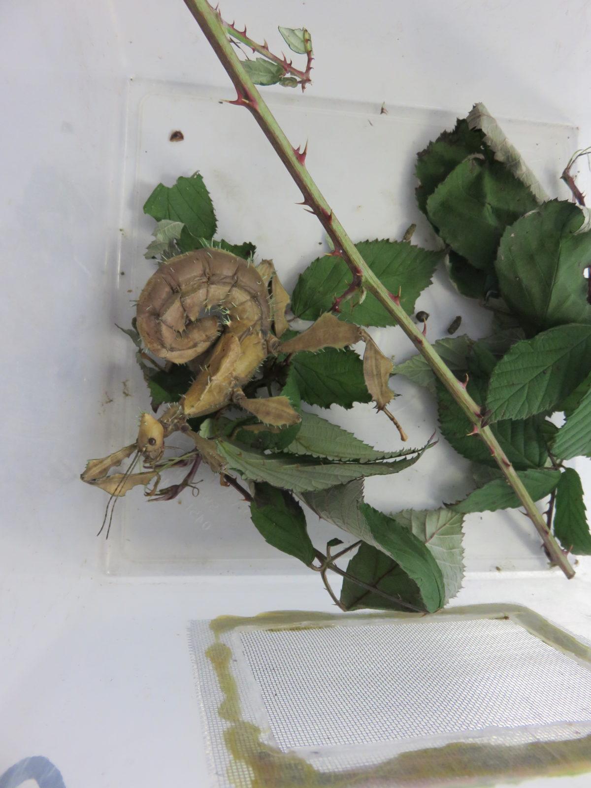 Klub zábavné logiky a deskových her na Univerzitě Hradec Králové - 41