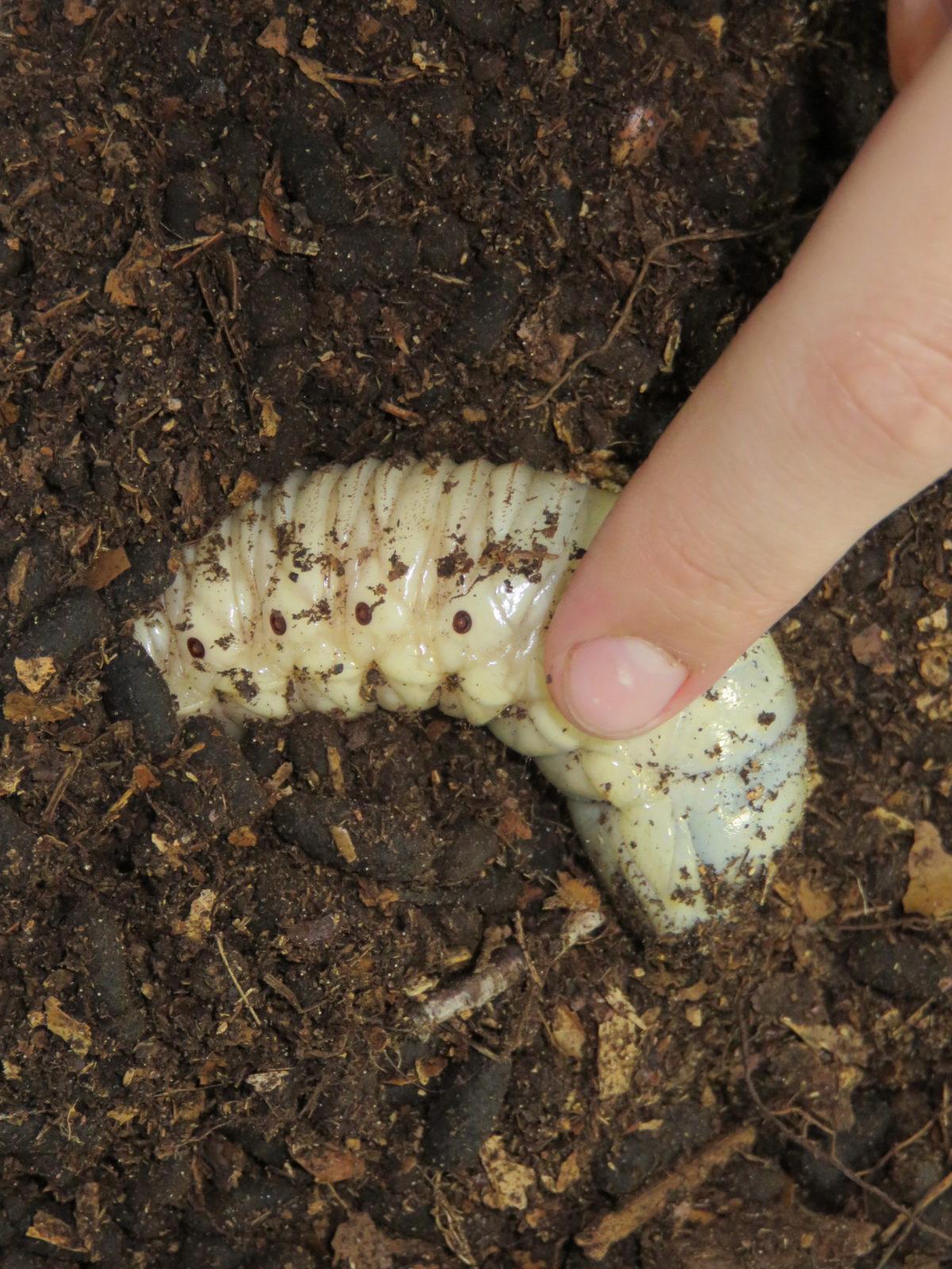 Klub zábavné logiky a deskových her na Univerzitě Hradec Králové - 43