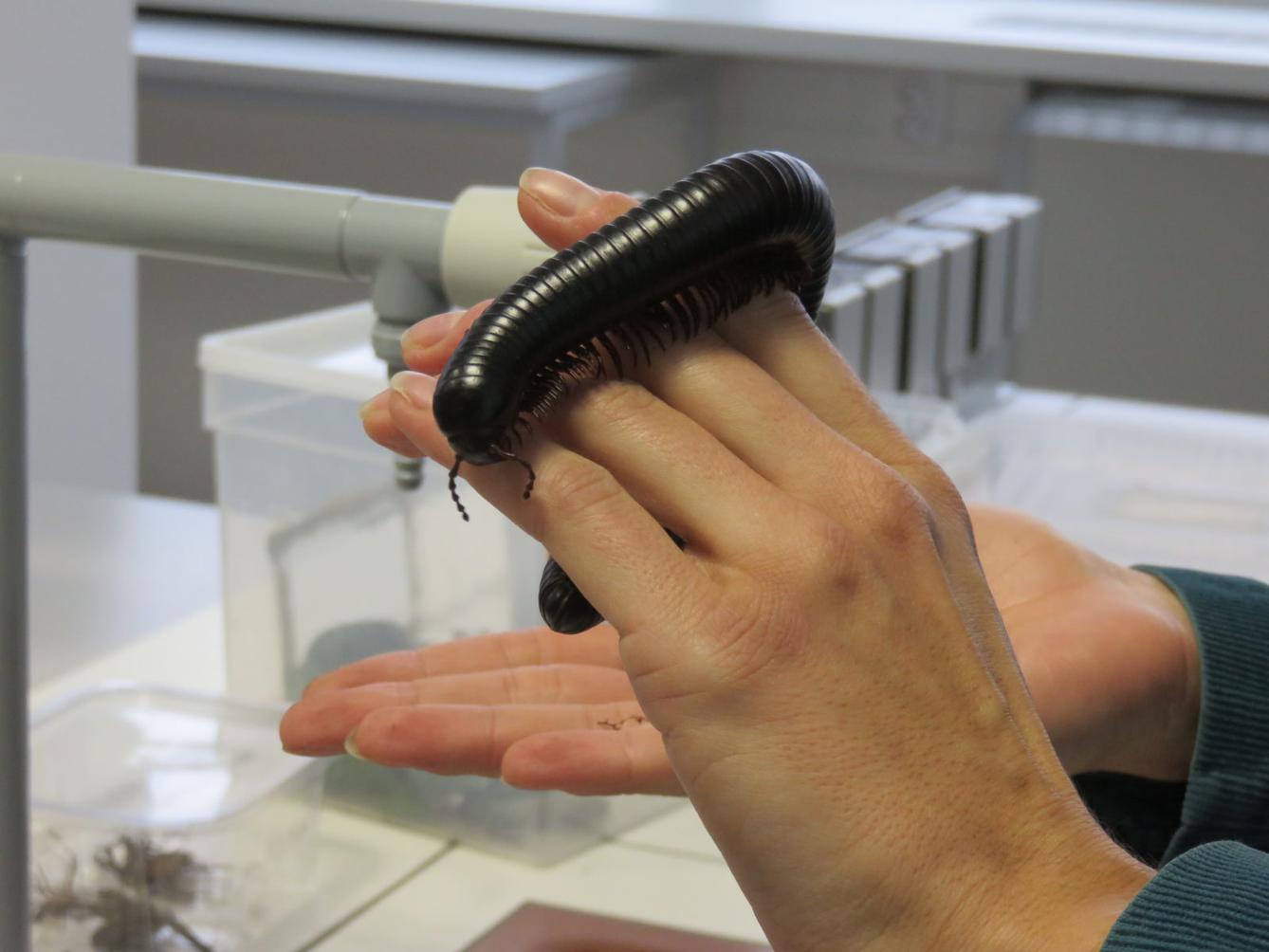 Klub zábavné logiky a deskových her na Univerzitě Hradec Králové - 45