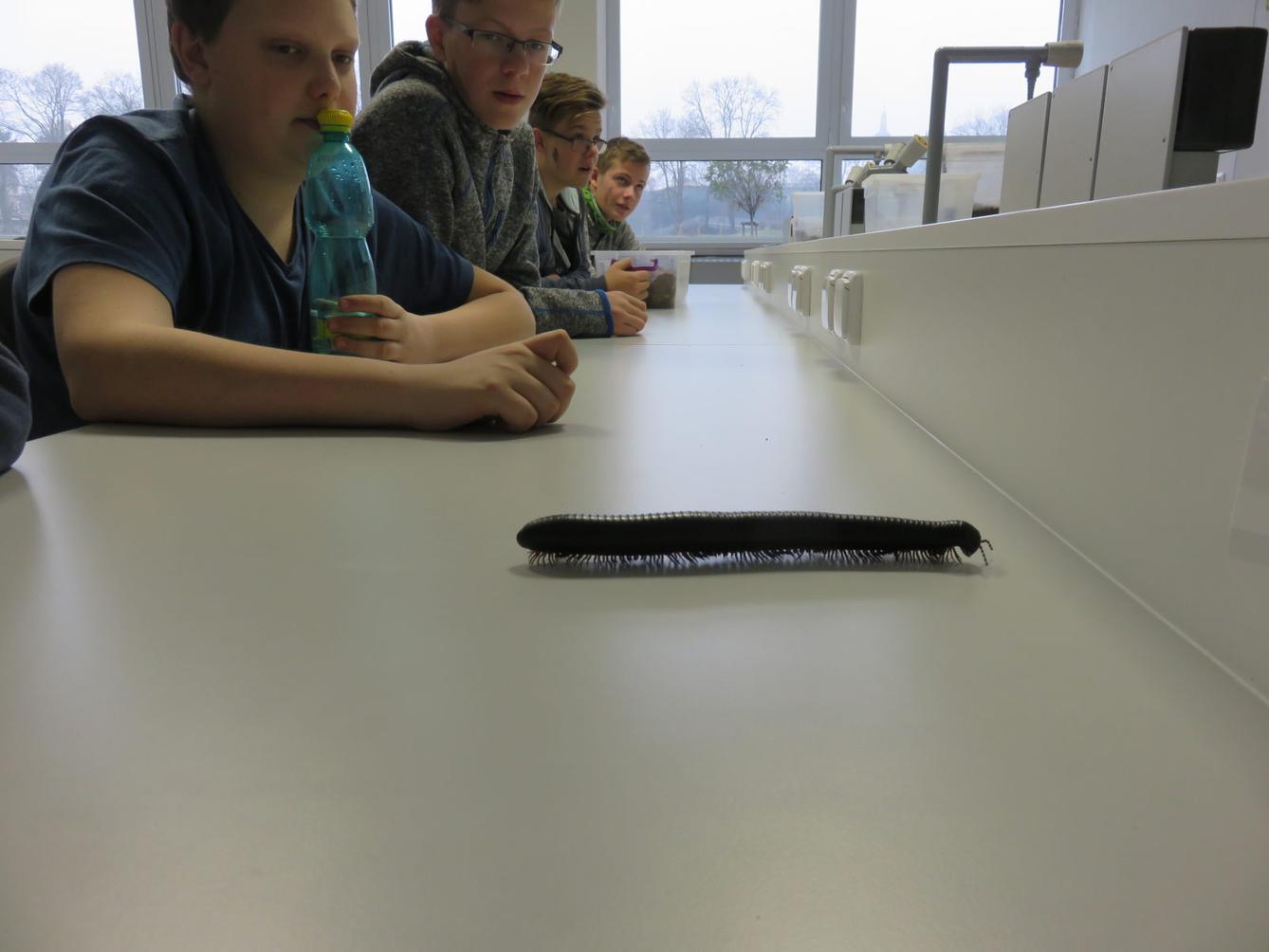 Klub zábavné logiky a deskových her na Univerzitě Hradec Králové - 48