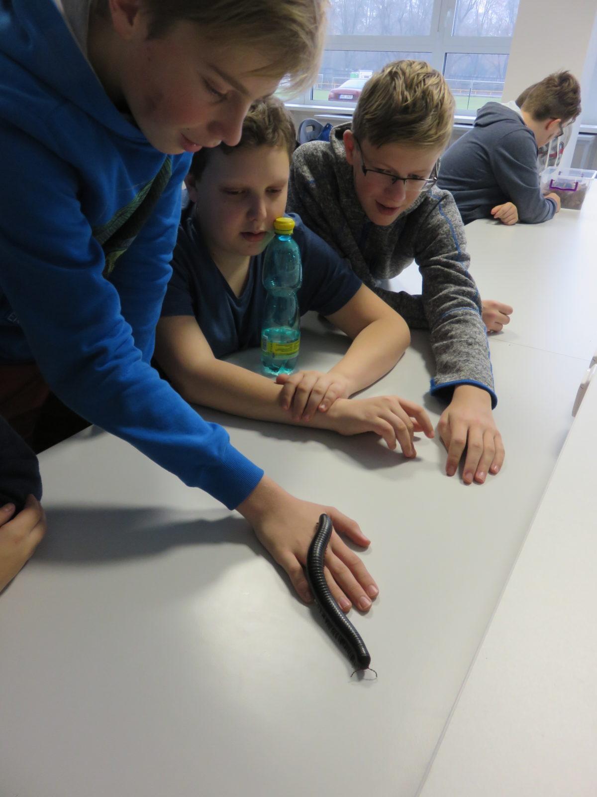 Klub zábavné logiky a deskových her na Univerzitě Hradec Králové - 49