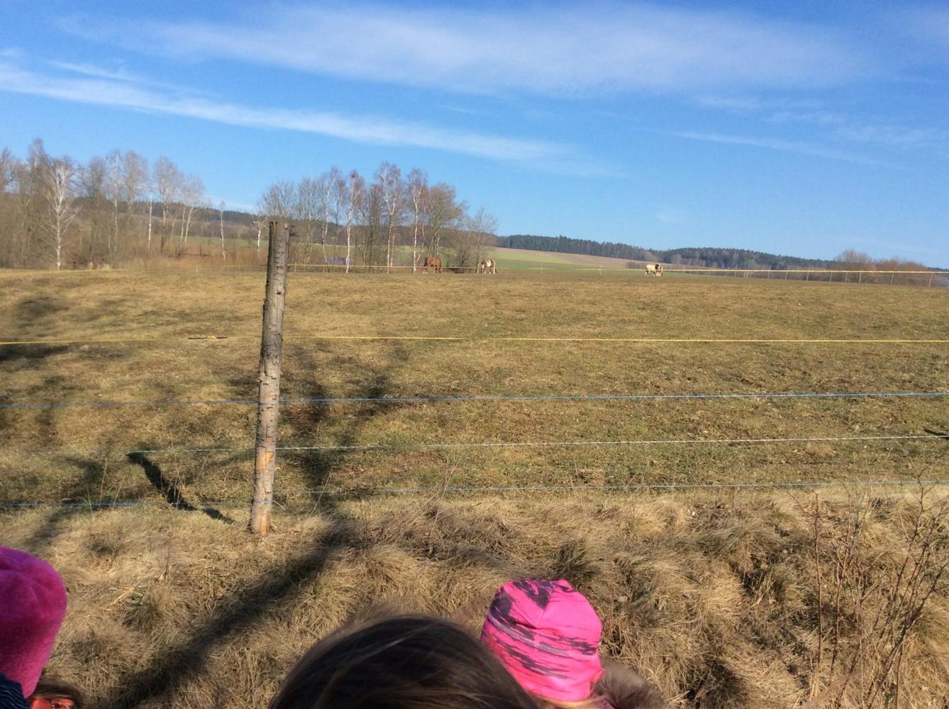 Březen - I. oddělení - 15