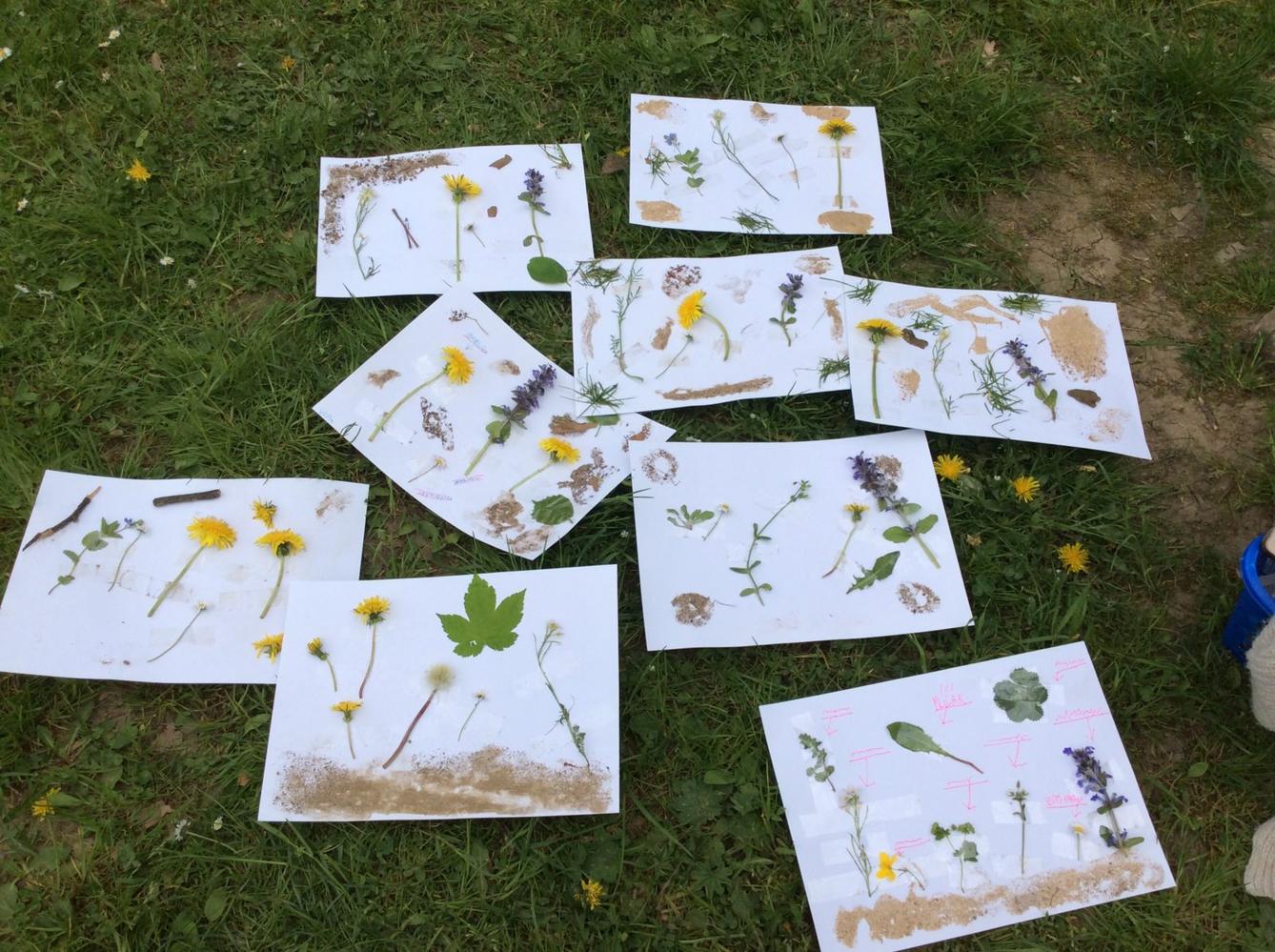 II.oddělení - spaní ve škole, duben,květen - 45