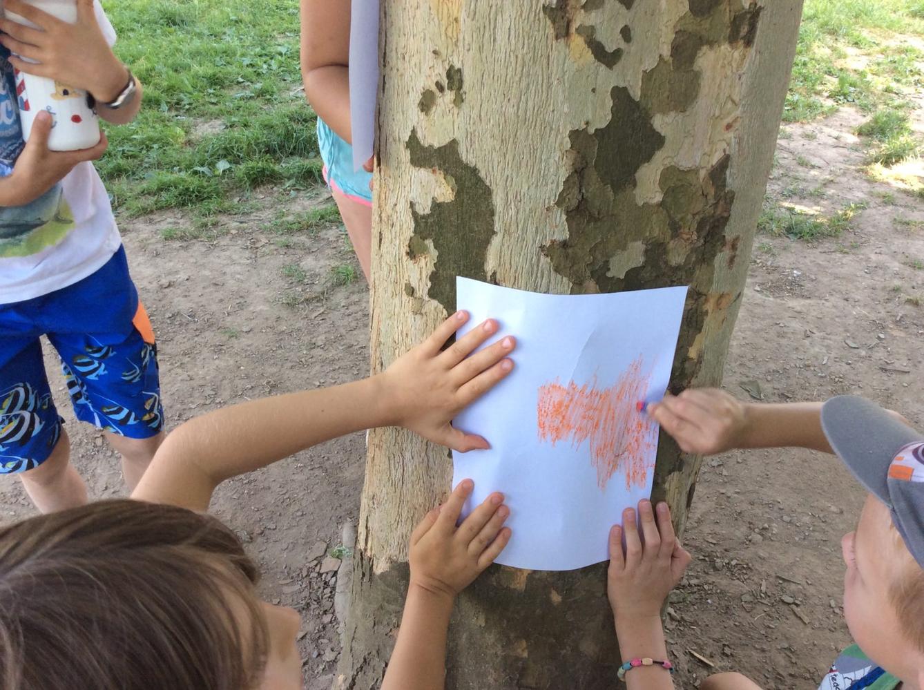 SVÁTEK  STROMŮ - 5