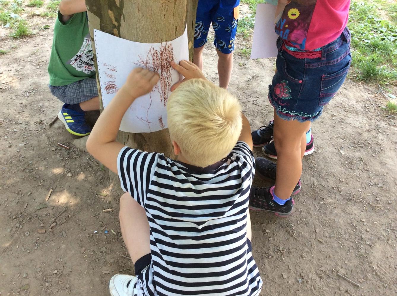 SVÁTEK  STROMŮ - 16