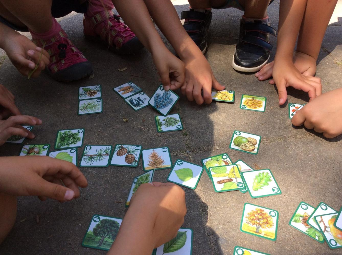 SVÁTEK STROMŮ - 17