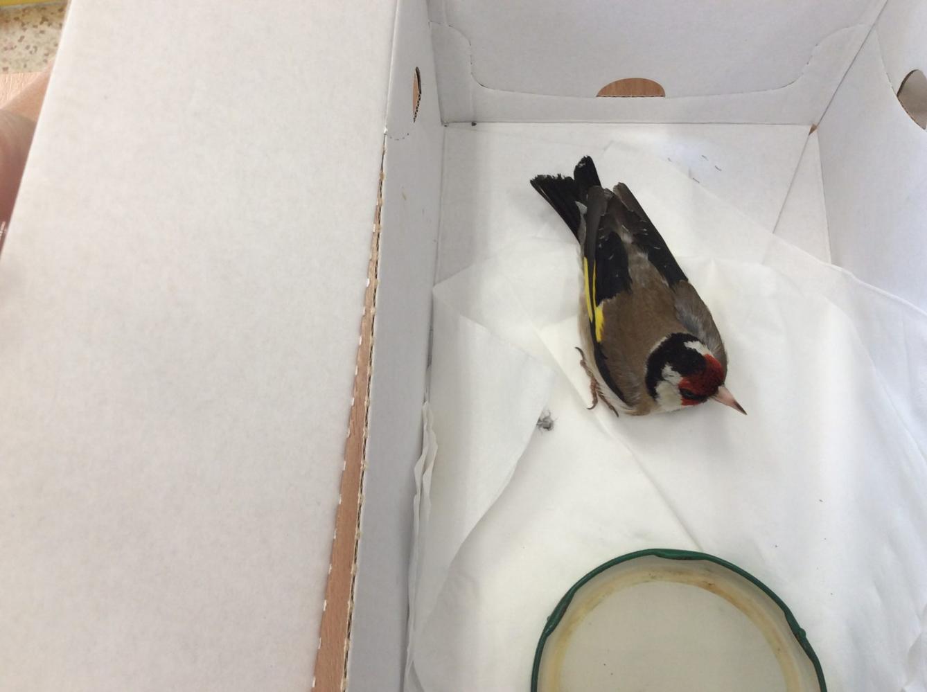 Setkání s předškoláky ve družince - 48