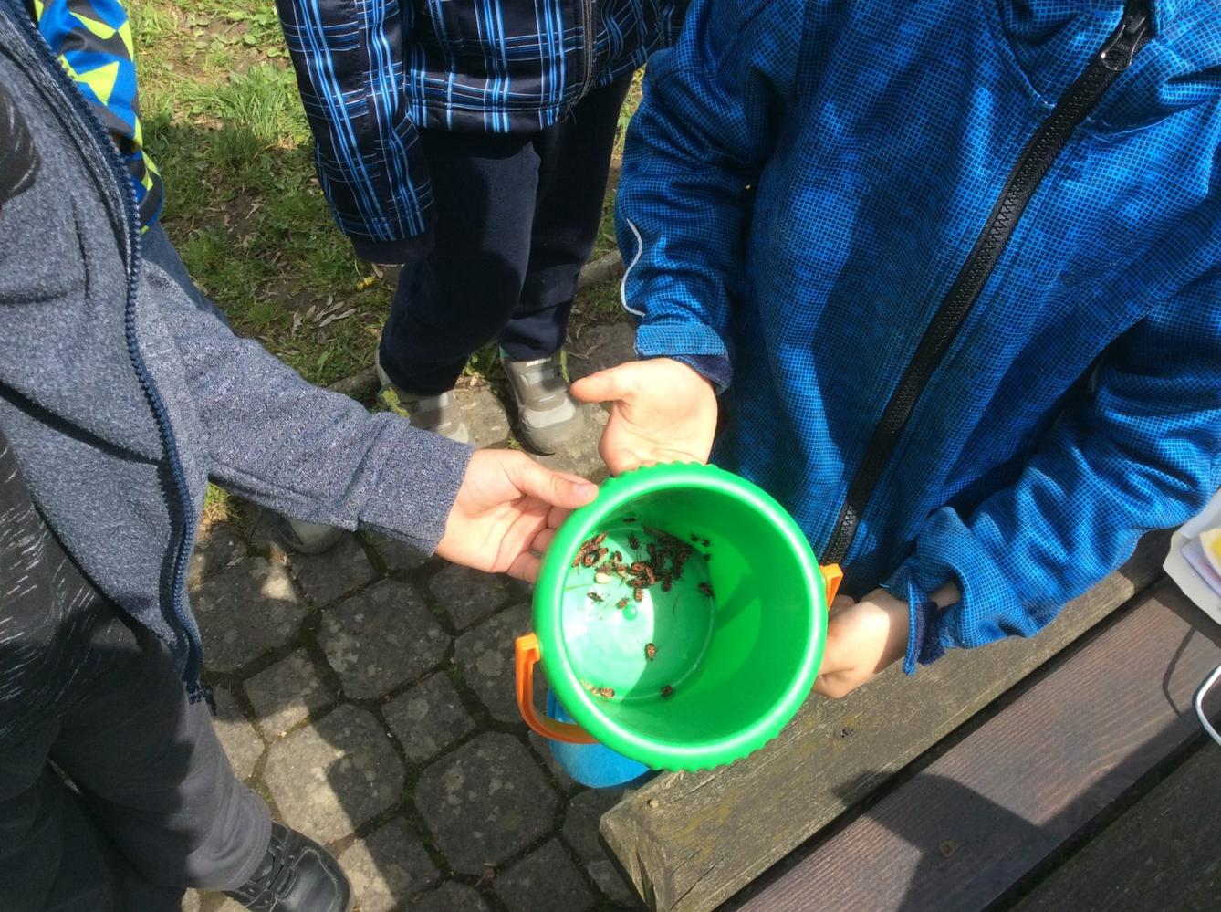 Květen - I. oddělení - 16