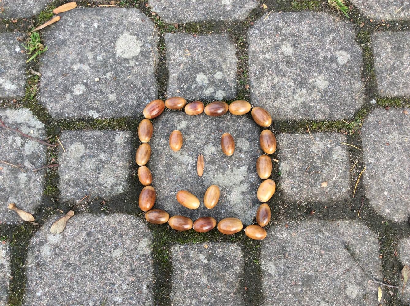 II. oddělení LISTOPAD - 15