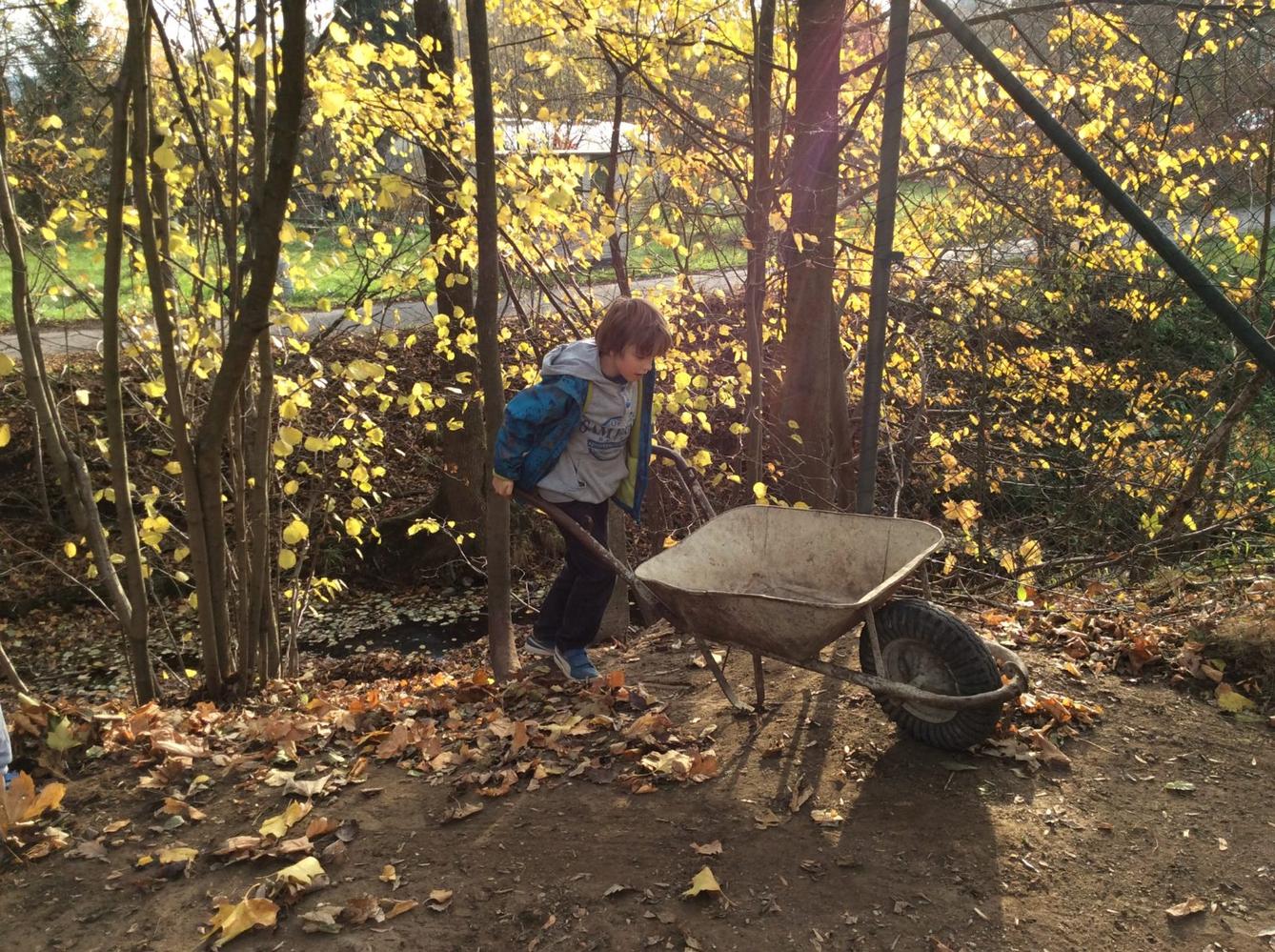 II. oddělení LISTOPAD - 18