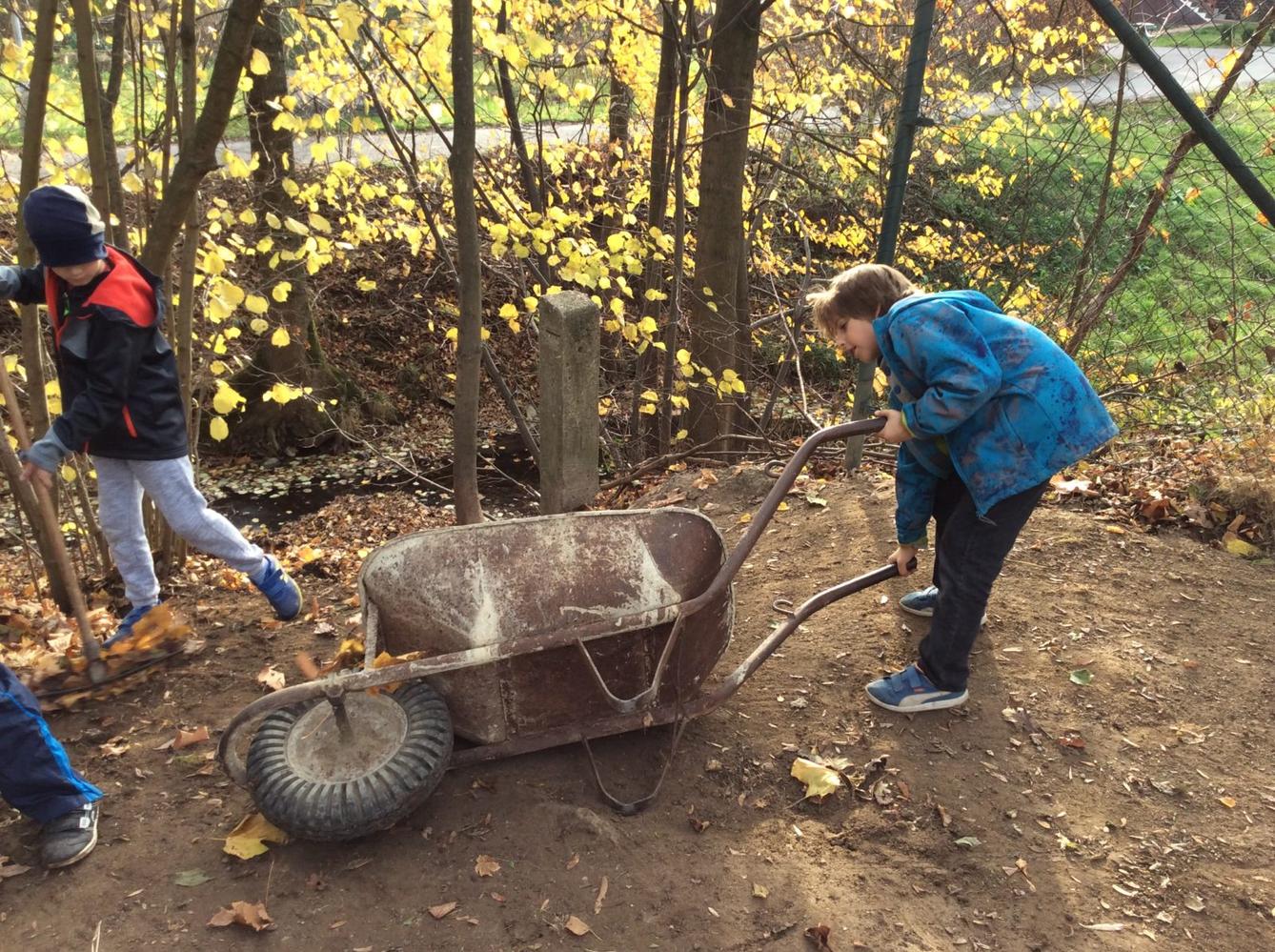 II. oddělení LISTOPAD - 24