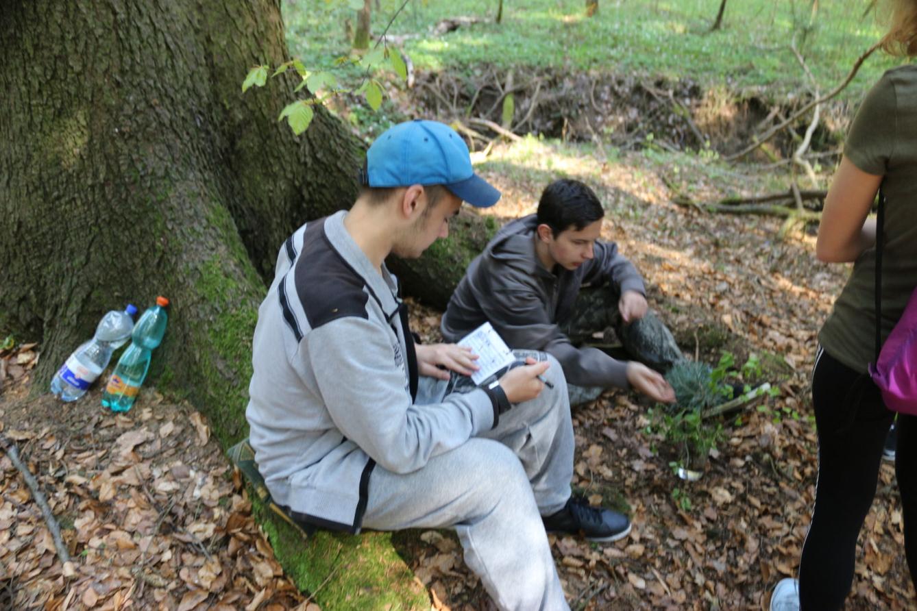 Den Země a Fáboráček - II. stupeň - 16