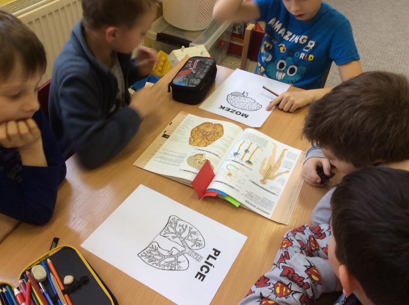 Leden I. oddělení - 12