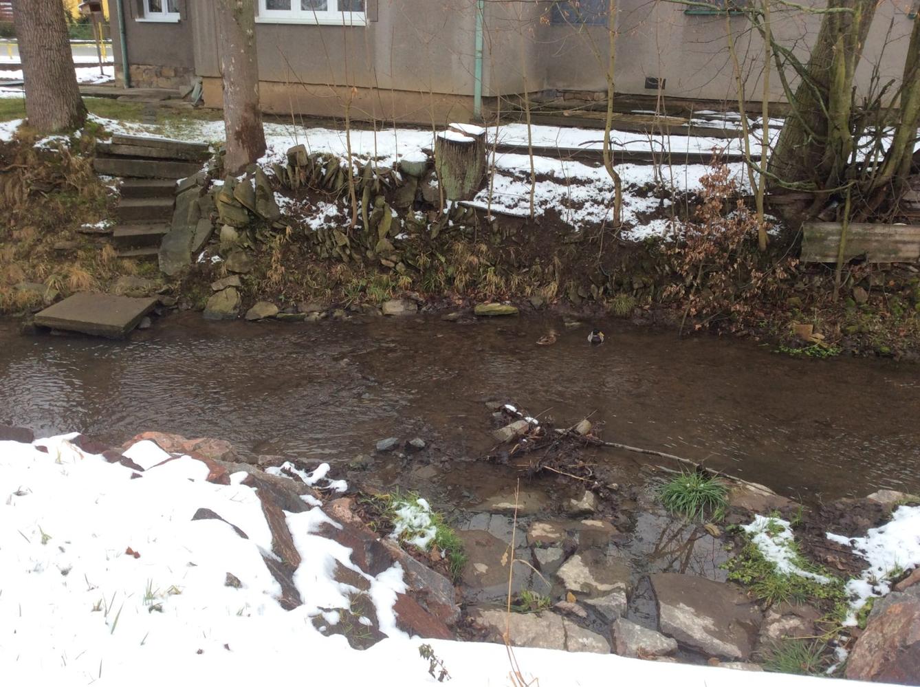 Leden I. oddělení - 23