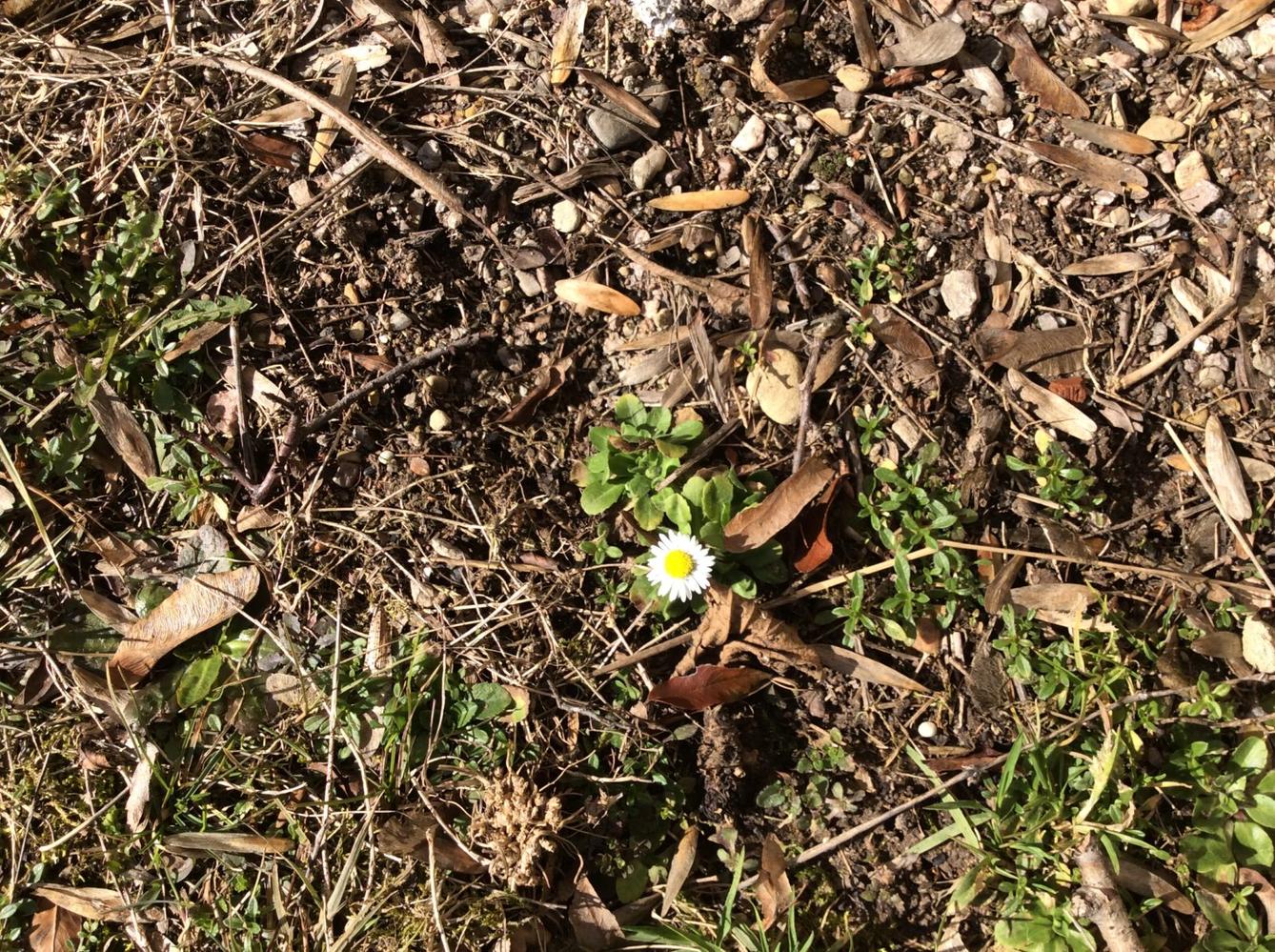 ÚNOR 2.oddělení - 60