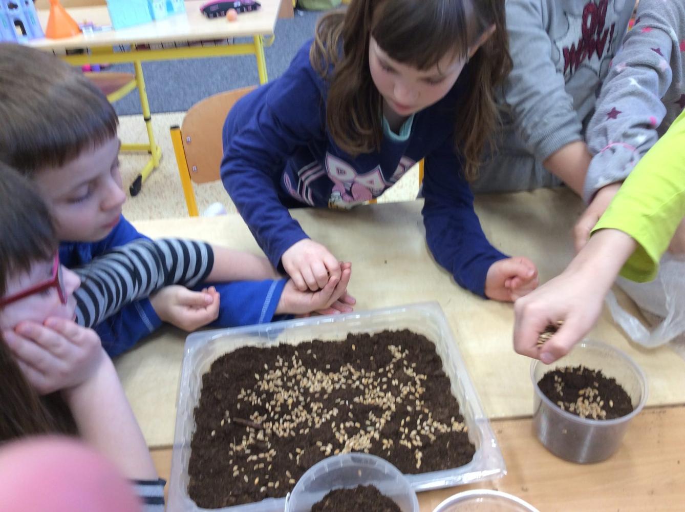 2. oddělení - duben - 8