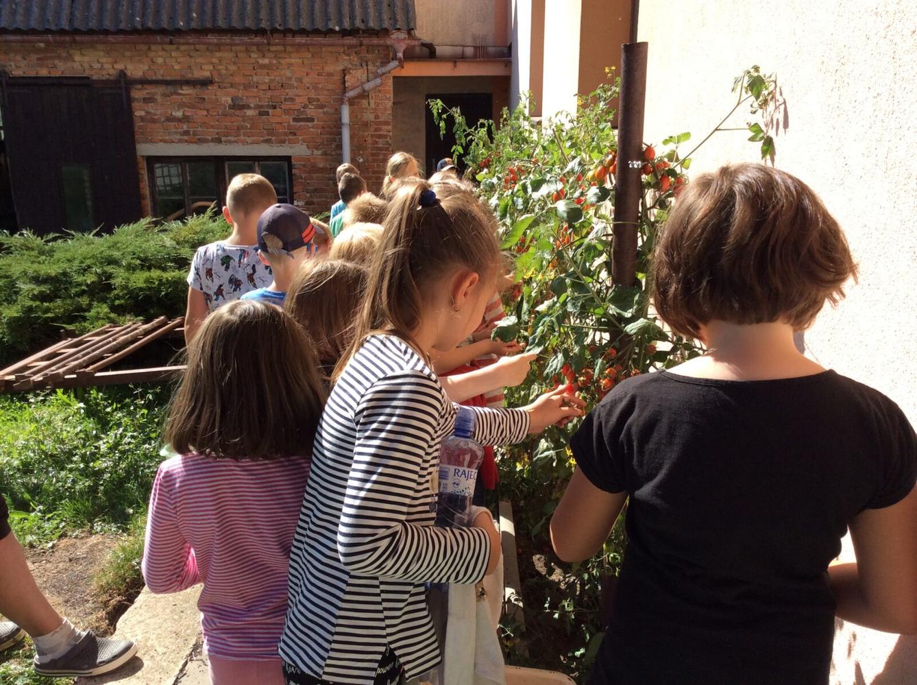 Střípky z prvního pololetí v I. oddělení družiny - 17