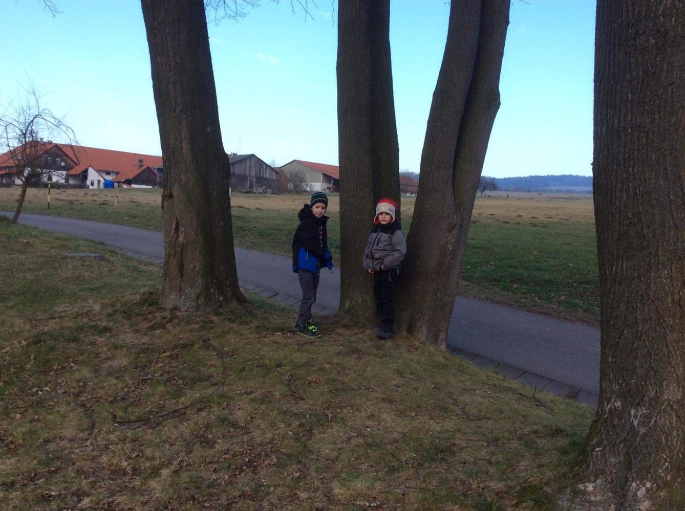 II. oddělení  LEDEN - 55