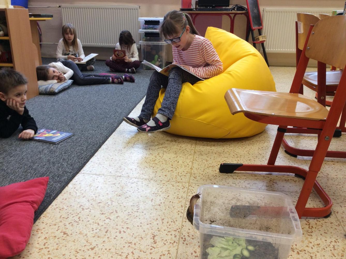 II. ODDĚLENÍ  Únor - 43