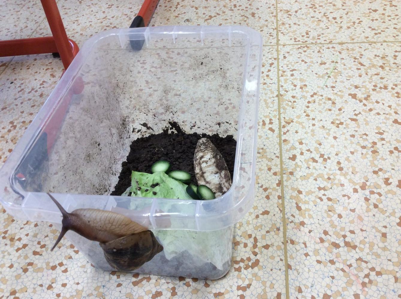 II. ODDĚLENÍ  Únor - 44