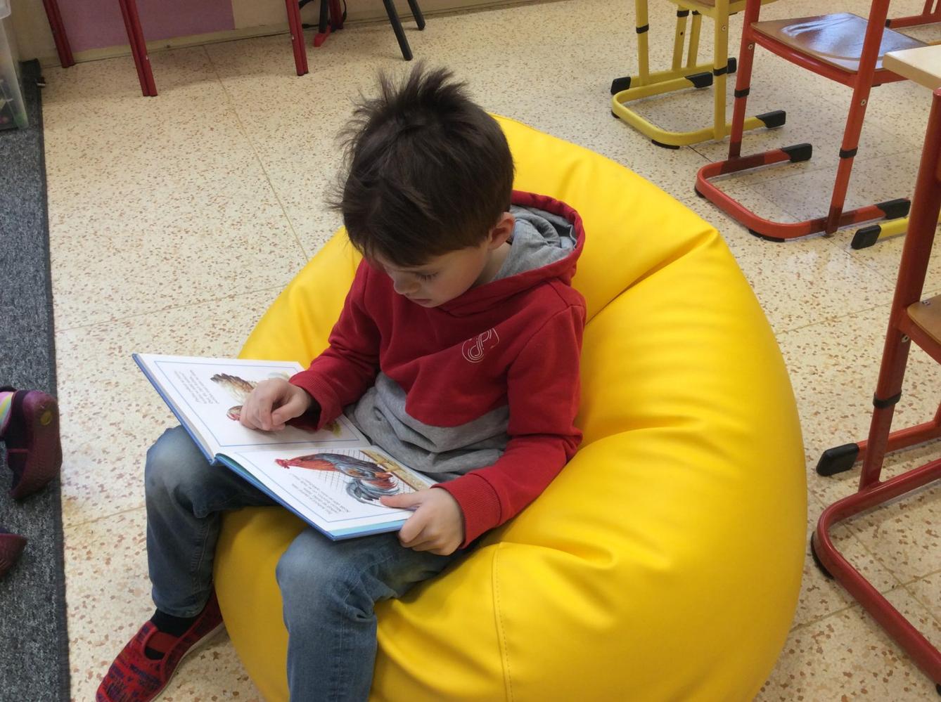 II. ODDĚLENÍ  Únor - 51