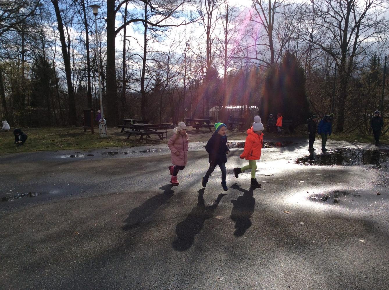 II. ODDĚLENÍ  Únor - 63